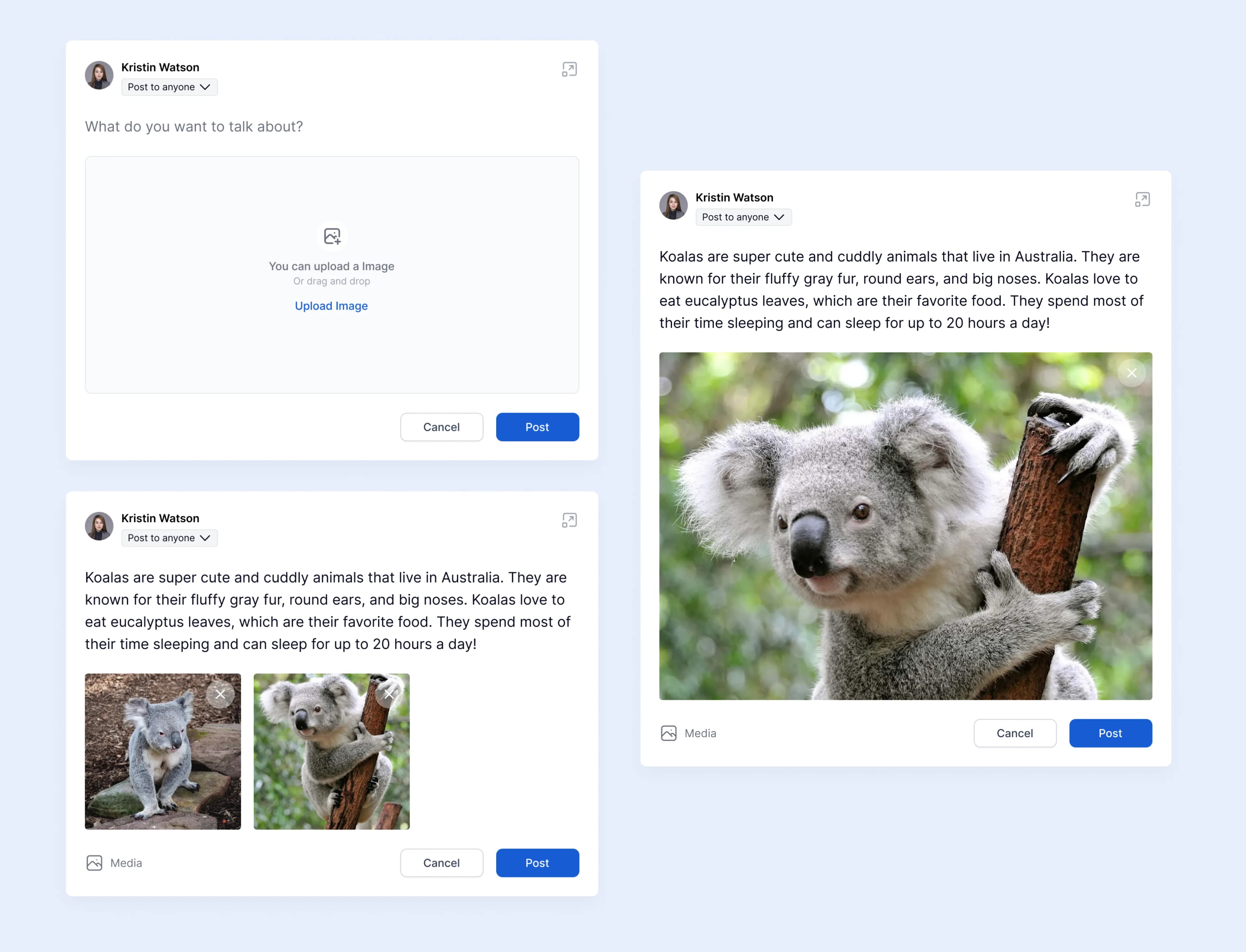 Post composer states: empty upload area, attached images and a published post
